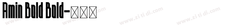 Amin Bold Bold字体转换